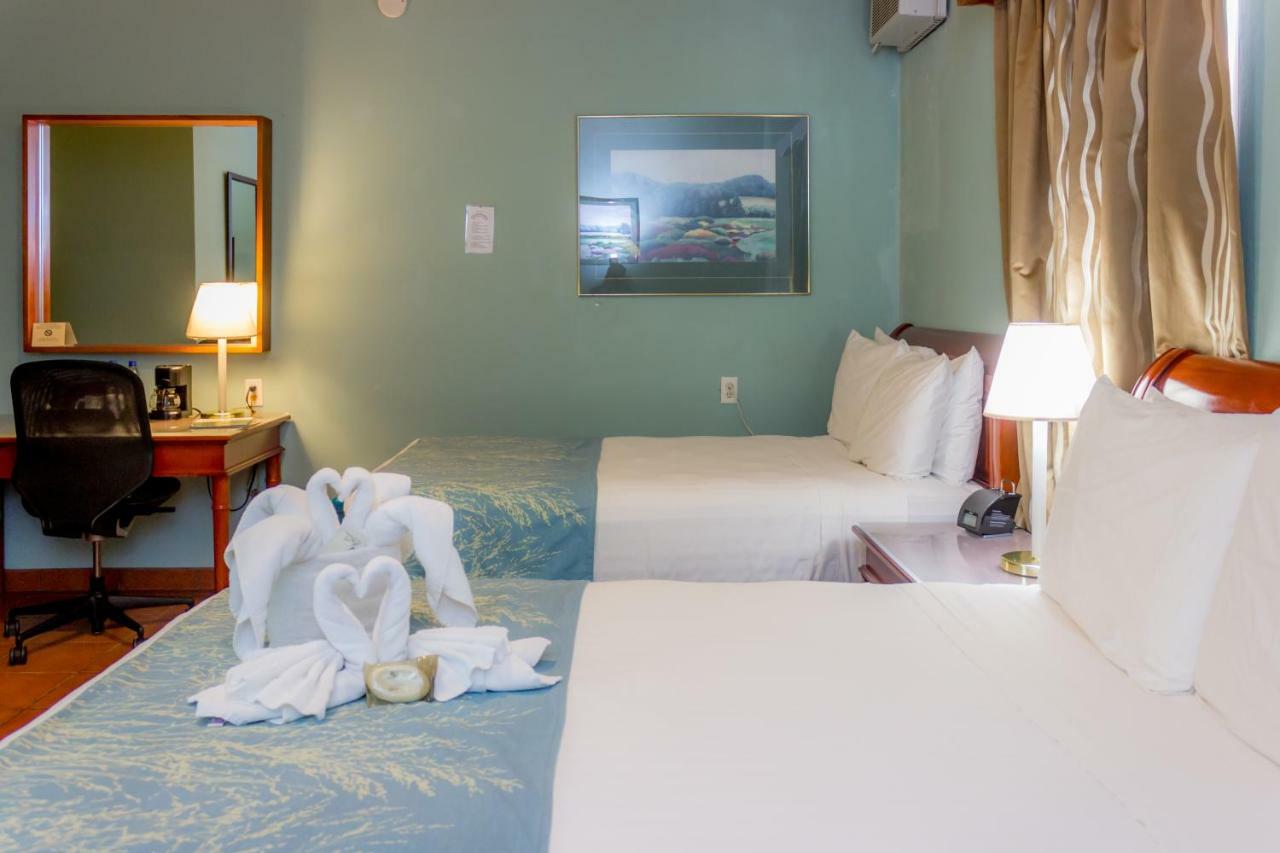 Rolson Hotel San Ignacio Eksteriør bilde