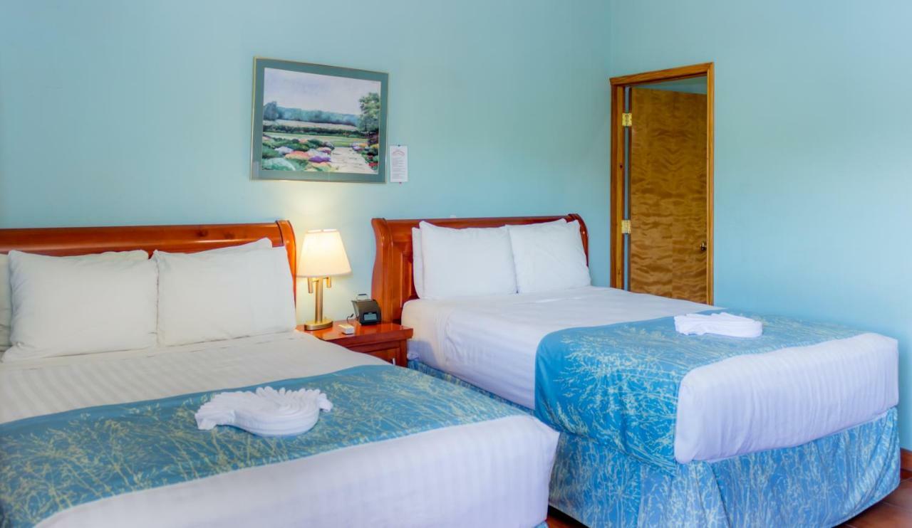 Rolson Hotel San Ignacio Eksteriør bilde