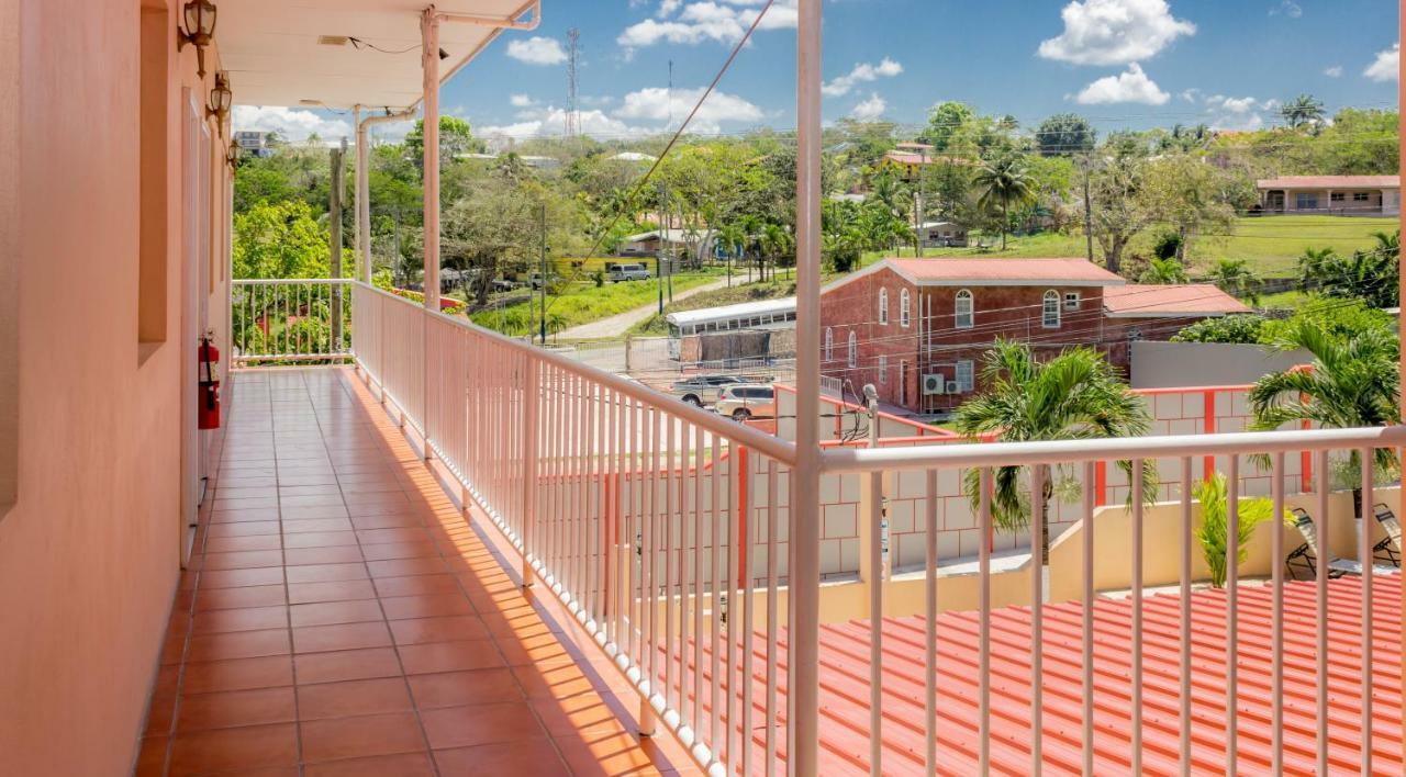 Rolson Hotel San Ignacio Eksteriør bilde